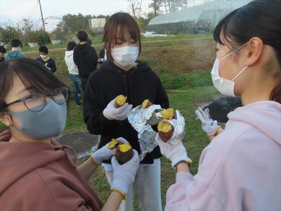 焼き芋ｂ