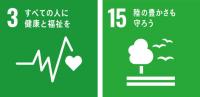 SDGs3