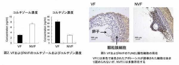 Fig2.3