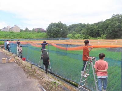 水田網張