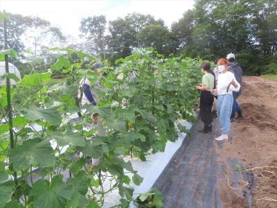 1年　野菜管理