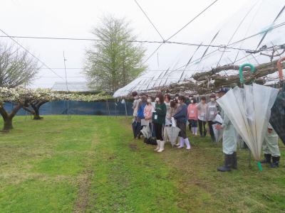 雨の説明