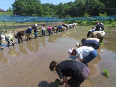 田植え１