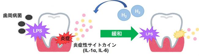 研究イメージ