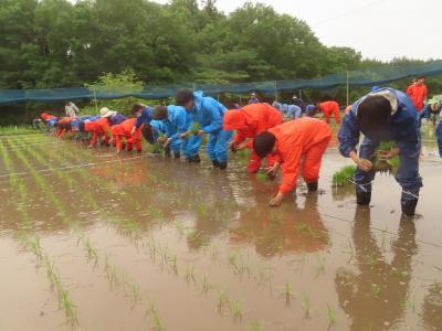 田植え２