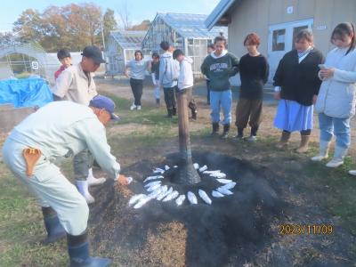 焼き芋１