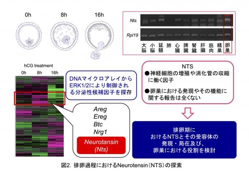 Fig.2