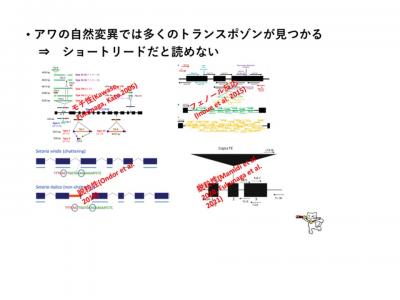 福永プレゼンテーション