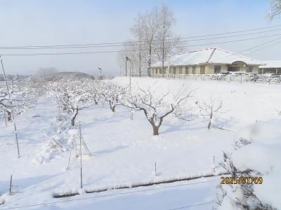 雪景色