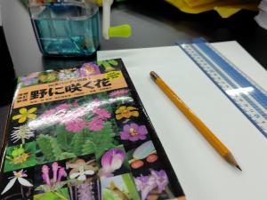 図鑑とスケッチ用紙