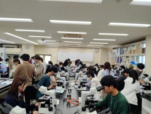 実験の様子