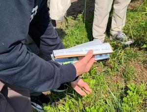 図鑑片手に植物採集