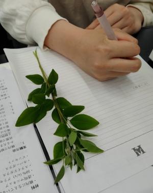 植物のスケッチ