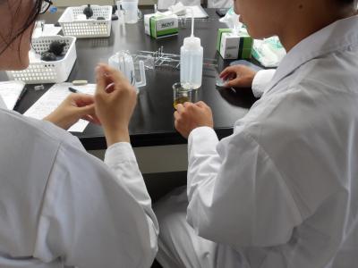 実験の様子01