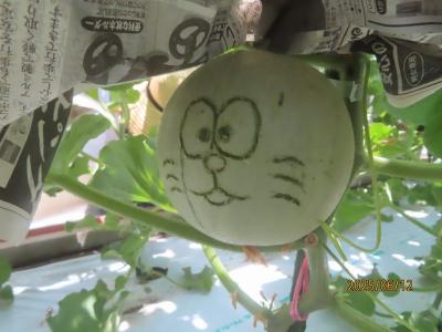 メロン２