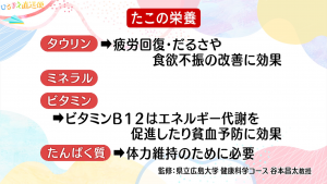 たこの栄養素
