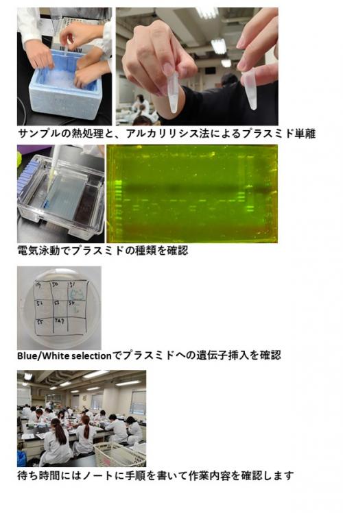 実験の様子