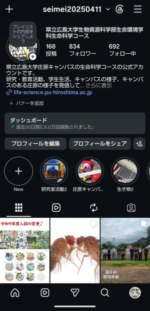 instagram