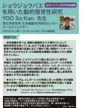 講義ポスター