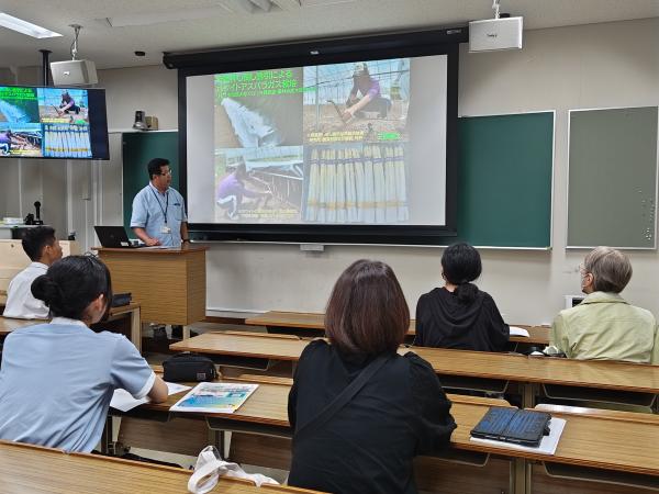 甲村先生