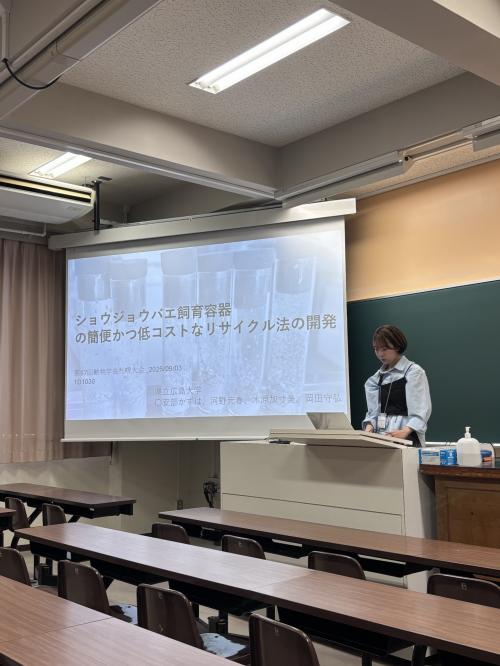発表の様子