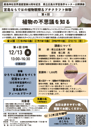 チラシ