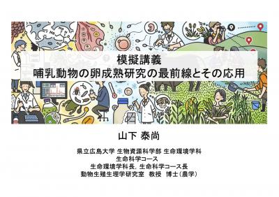 模擬講義スライド