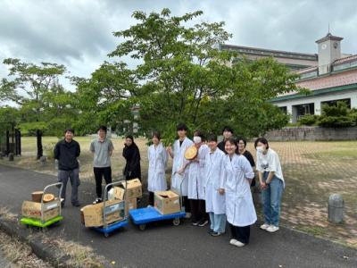 スギヒノキ納品