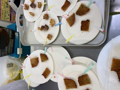 がんすとほとぎ