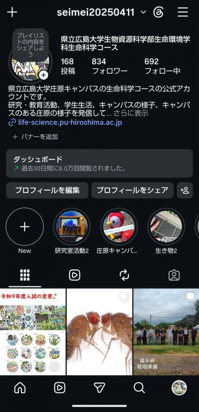 instagram
