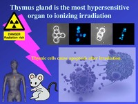 ABITANマウス本物のスライドの模式図